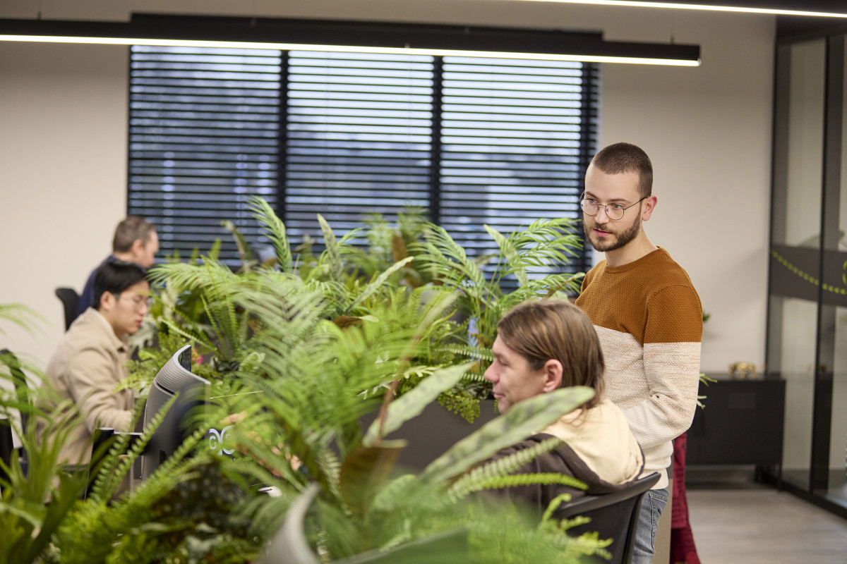 Onderhoud van software